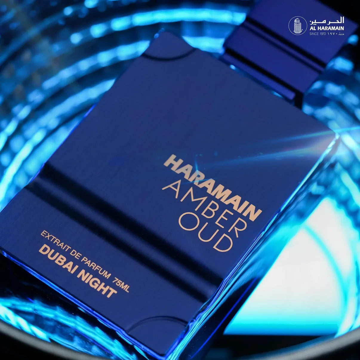 Amber Oud Dubai Night